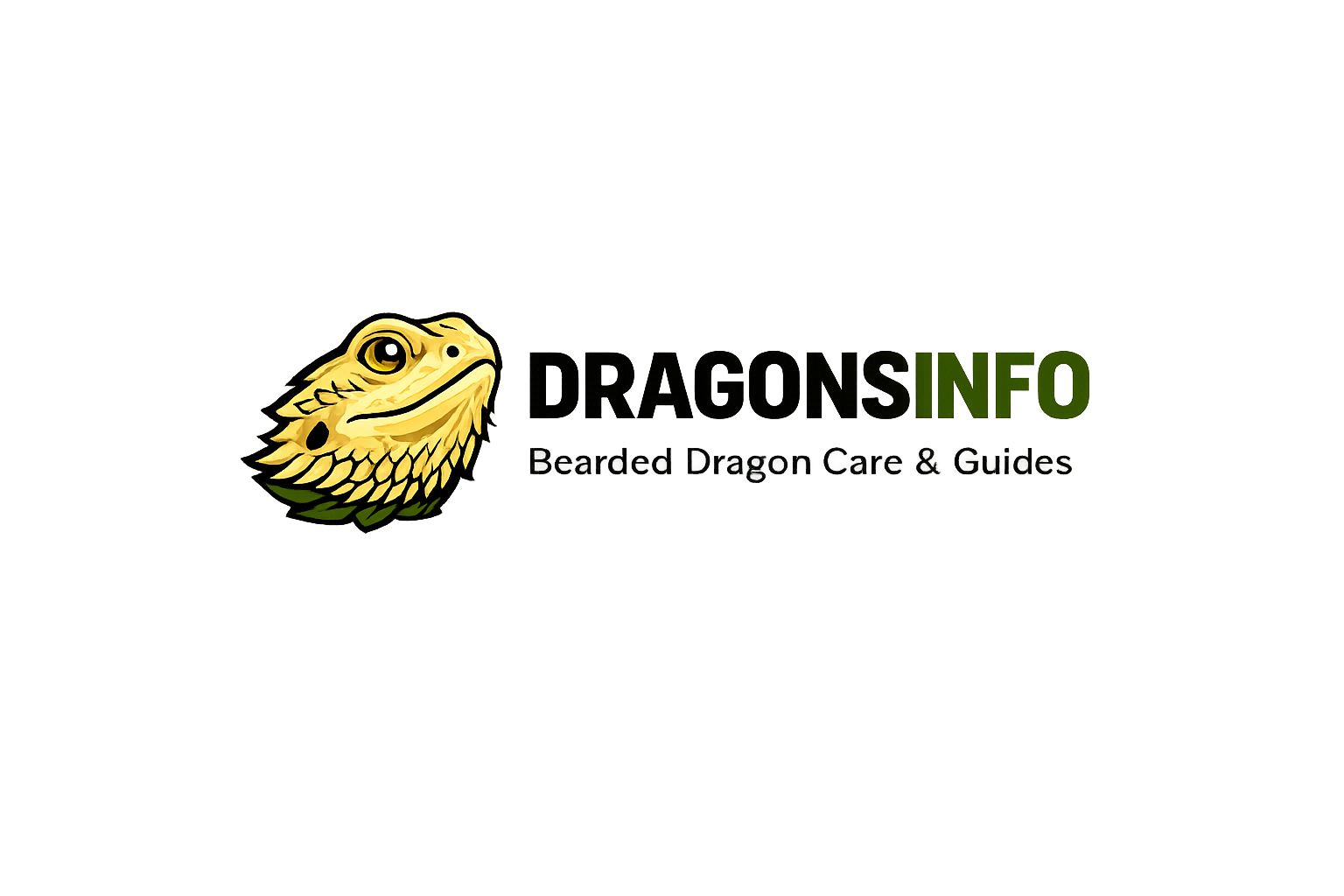 https://dragonsinfo.com