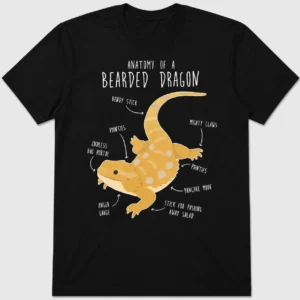 dragonsinfo