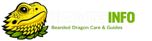 DragonsInfo - Bearded Dragon & Tarantula Care Guides