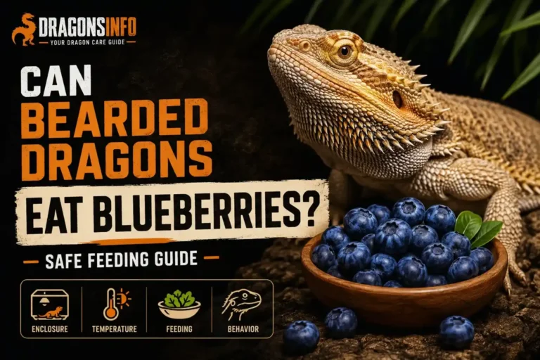 Can Bearded Dragons Eat Blueberries? Safe Feeding Guide