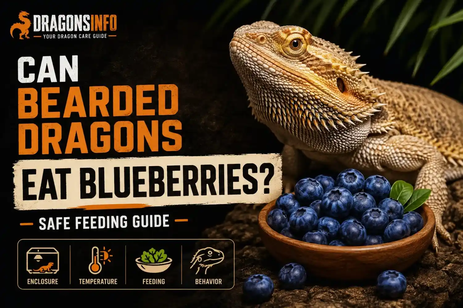 Can Bearded Dragons Eat Blueberries? Safe Feeding Guide