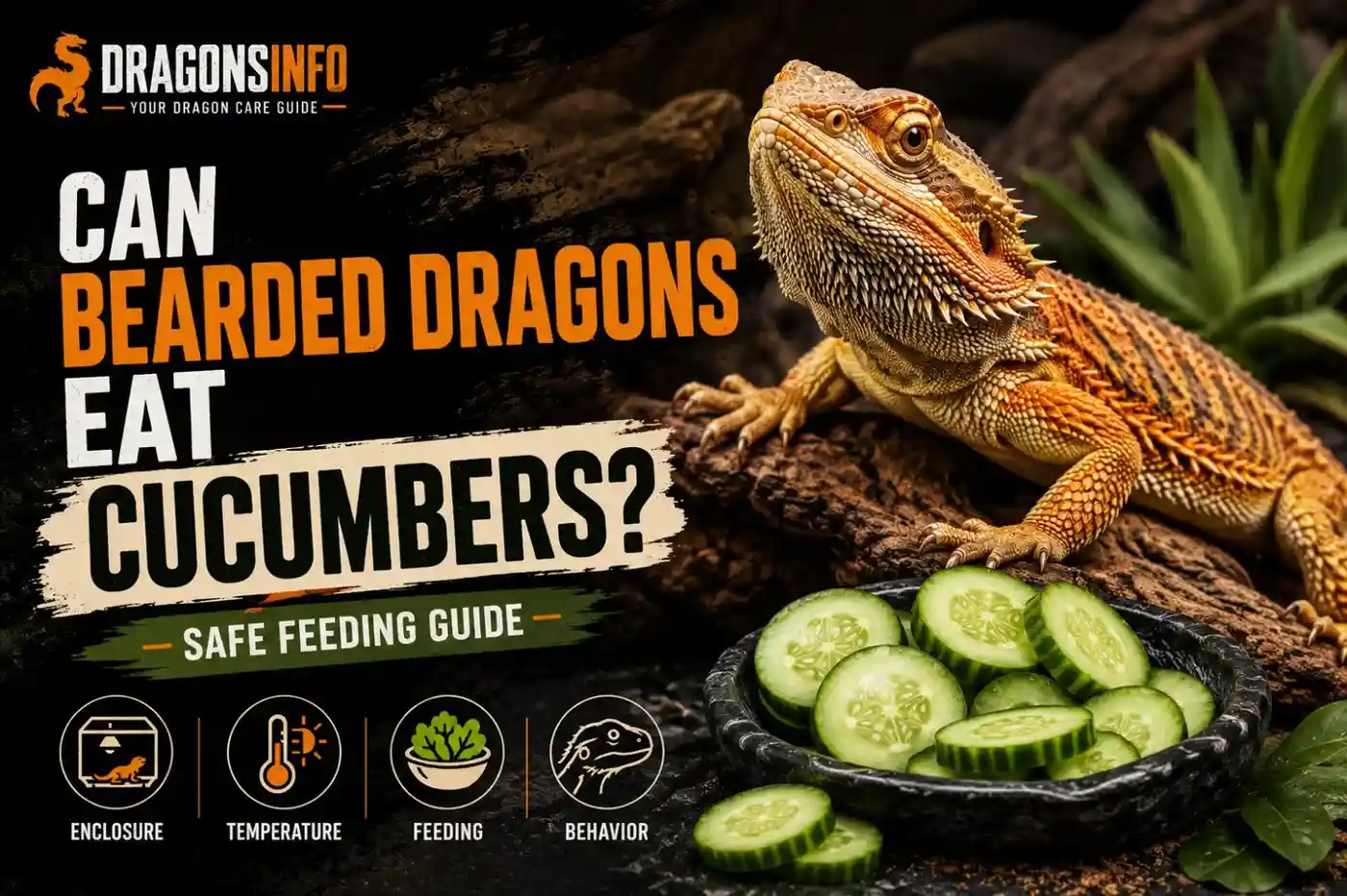Can Bearded Dragons Eat Cucumbers? Complete Feeding Guide