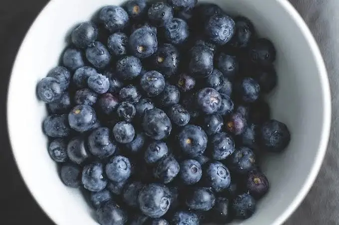 Bearded Dragons Eat Blueberries